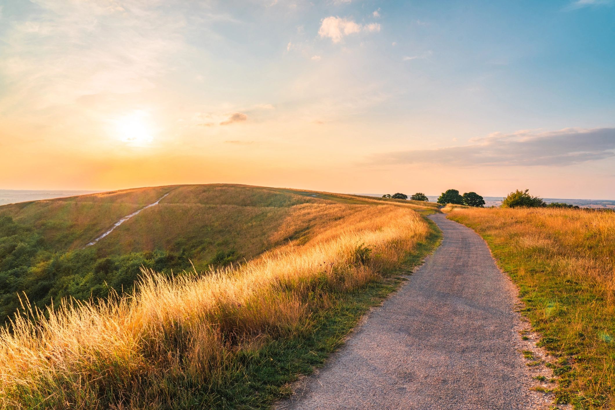 golden fields dusk tranquil landscape photography